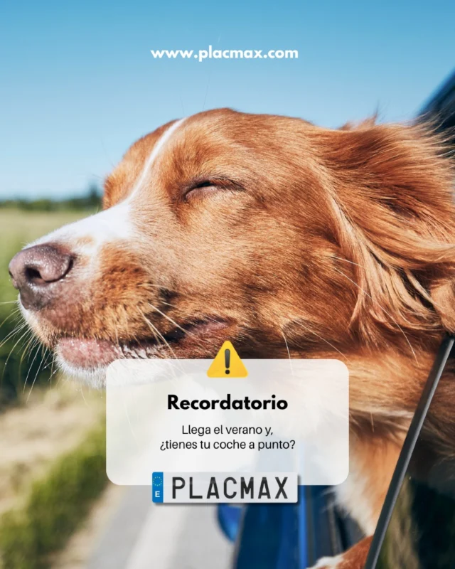 🌞 El verano ya está aquí y tu perro lo sabe…

 ¿Y tu coche? ¿Está listo para las aventuras bajo el sol?

✔️ Revisión hecha.

✔️ Aire acondicionado funcionando.

❓ ¿Y la matrícula?

Una matrícula en mal estado puede arruinar la foto del viaje… ¡y tu cartera si te multan!

🔧 En Placmax te lo ponemos fácil para que este verano tu coche luzca mejor que nunca.

💬 ¿Eres de los que viajan con su perro? ¡Déjanos un 🐾 en los comentarios!

#LlegaElVerano #CocheAPunto #MatrículasDeVerano #PlacmaxEnRuta

www.placmax.com